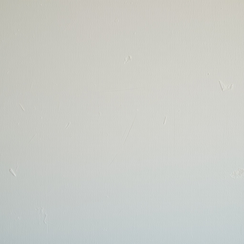 Close-up of a dry